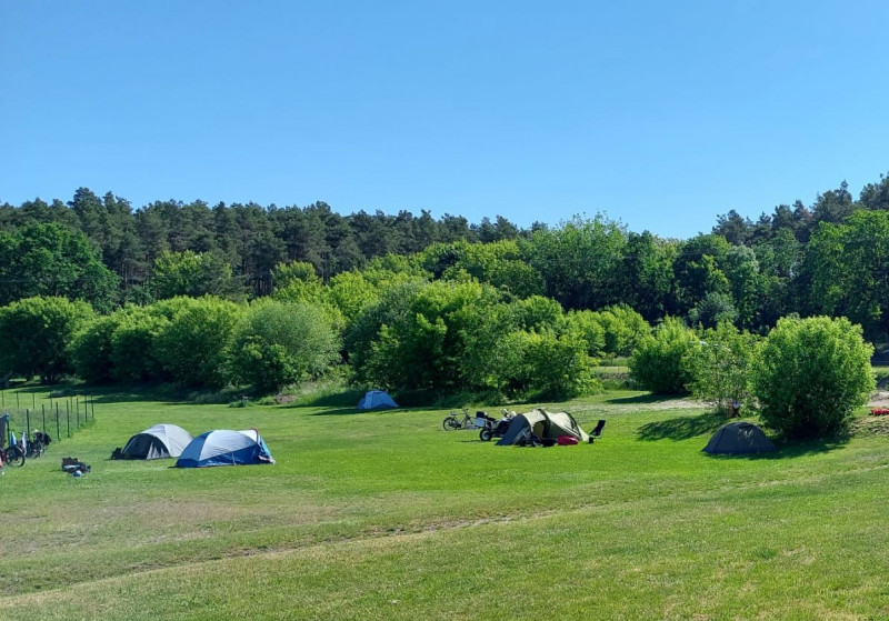 Campinghof_Am_Gruenen_Baum_standard