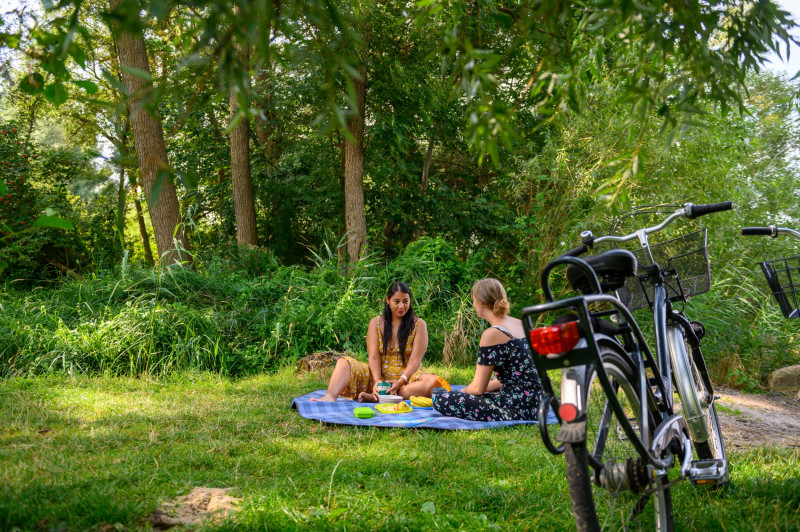 Campingplatz_Boek_C16_standard