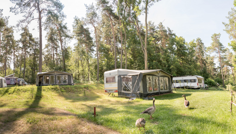 FKK_Campingplatz_am_Raetzsee-1_standard