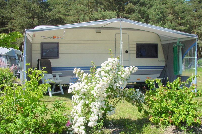 Natur_Camping_Usedom_standard