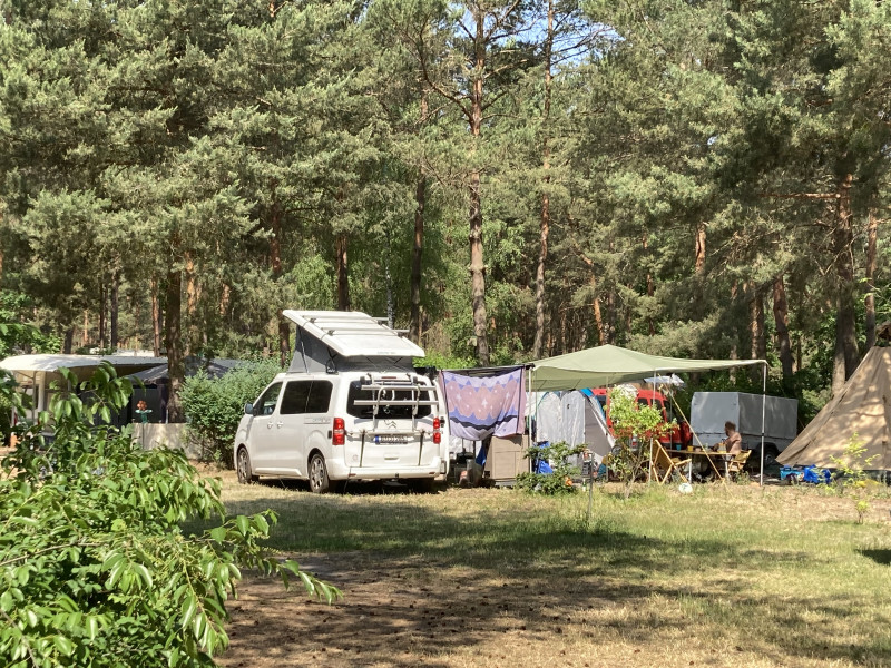 Tonseecamping-1_standard