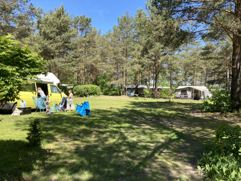 Tonseecamping_standard